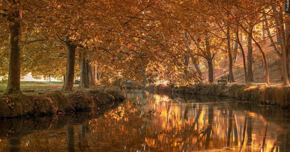 Here are some of the more subtle changes of fall
