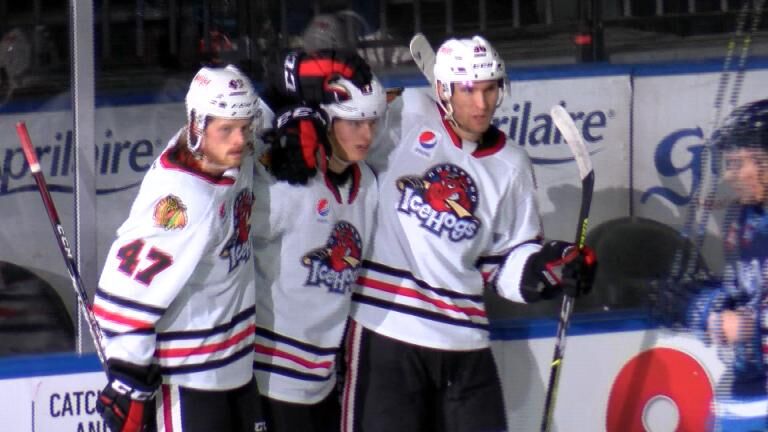 AHL Hockey Iowa Wild vs Rockford IceHogs - Think Iowa City