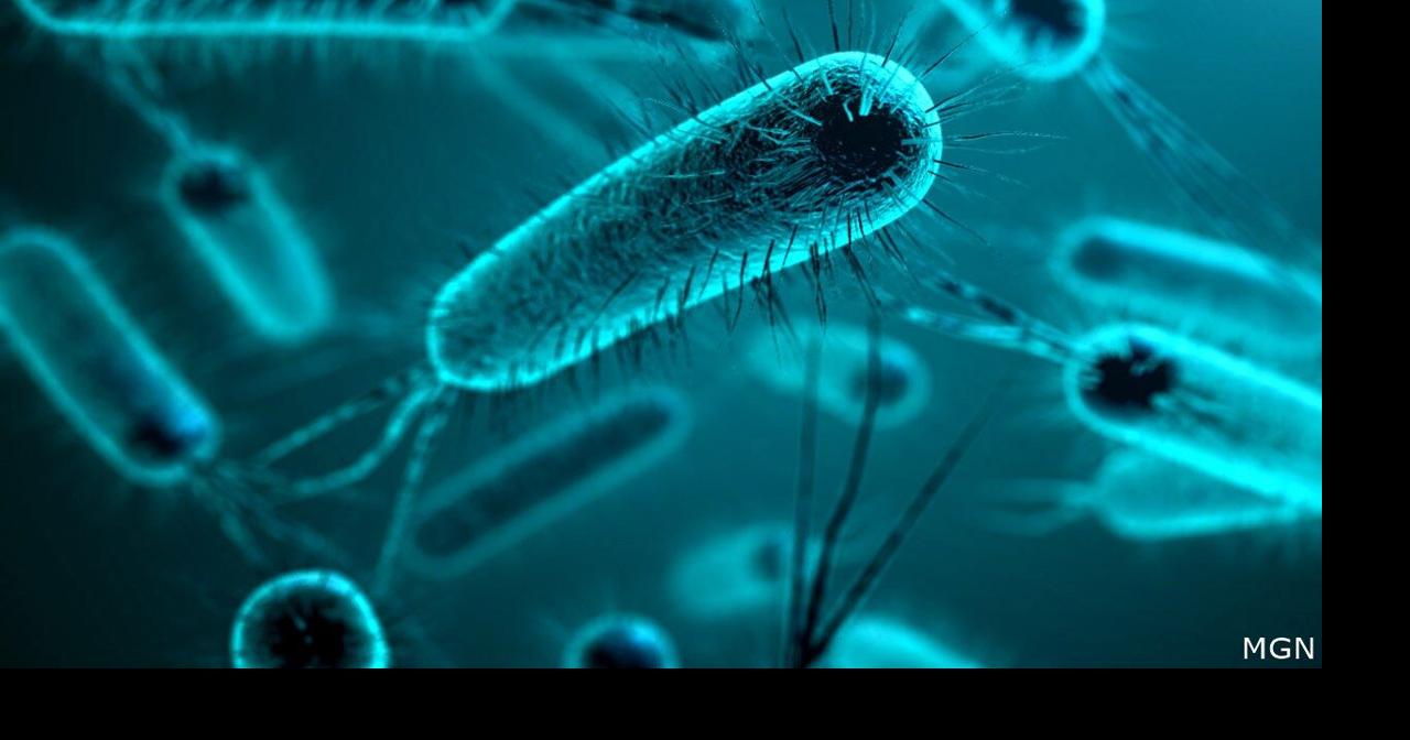 CDC investigates new Listeria outbreak Medicine