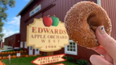 edwards apple orchard west