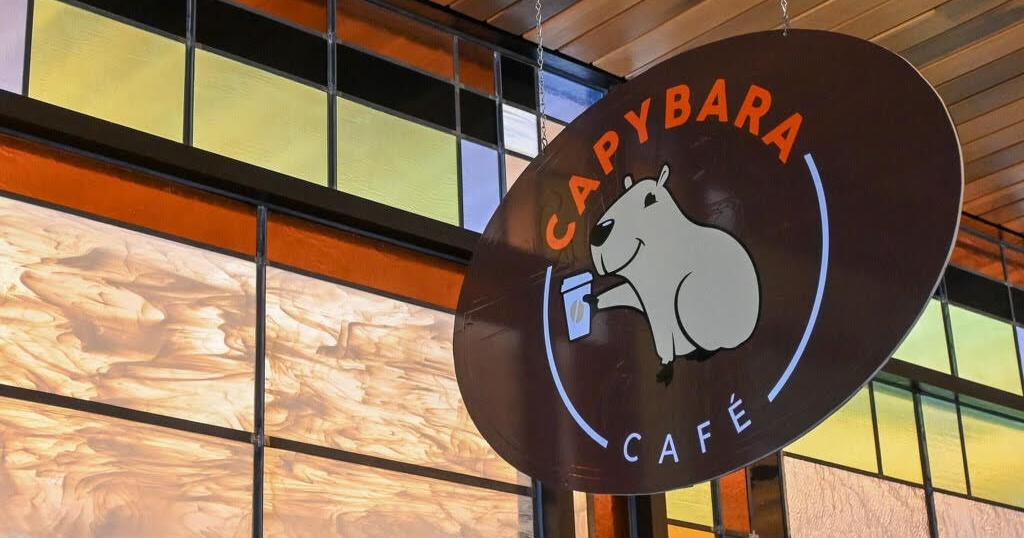HISPANIC HERITAGE: Capybara Cafe featuring Colombian cuisine | News ...