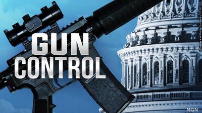 Gun Control Congress.jpg