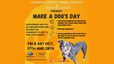 Winnebago dog pound discount
