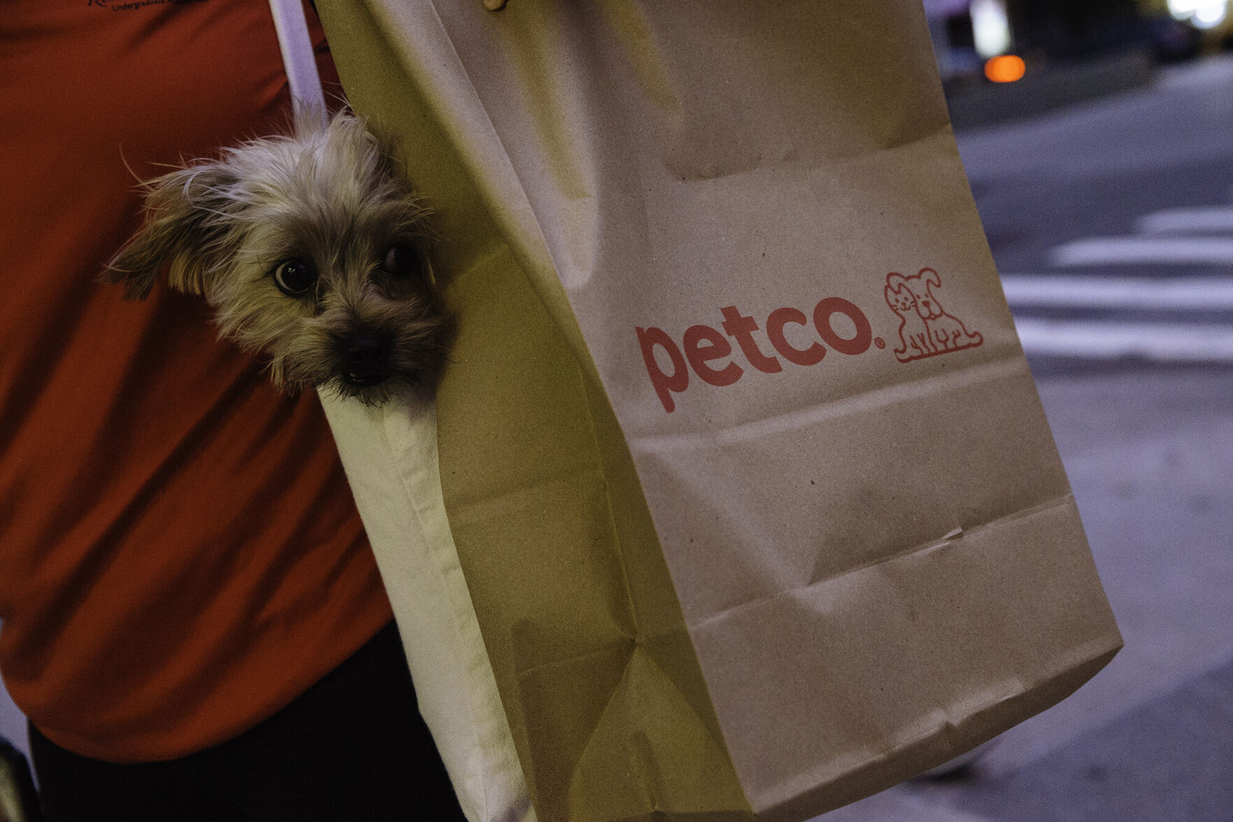 Petco repeat outlet delivery