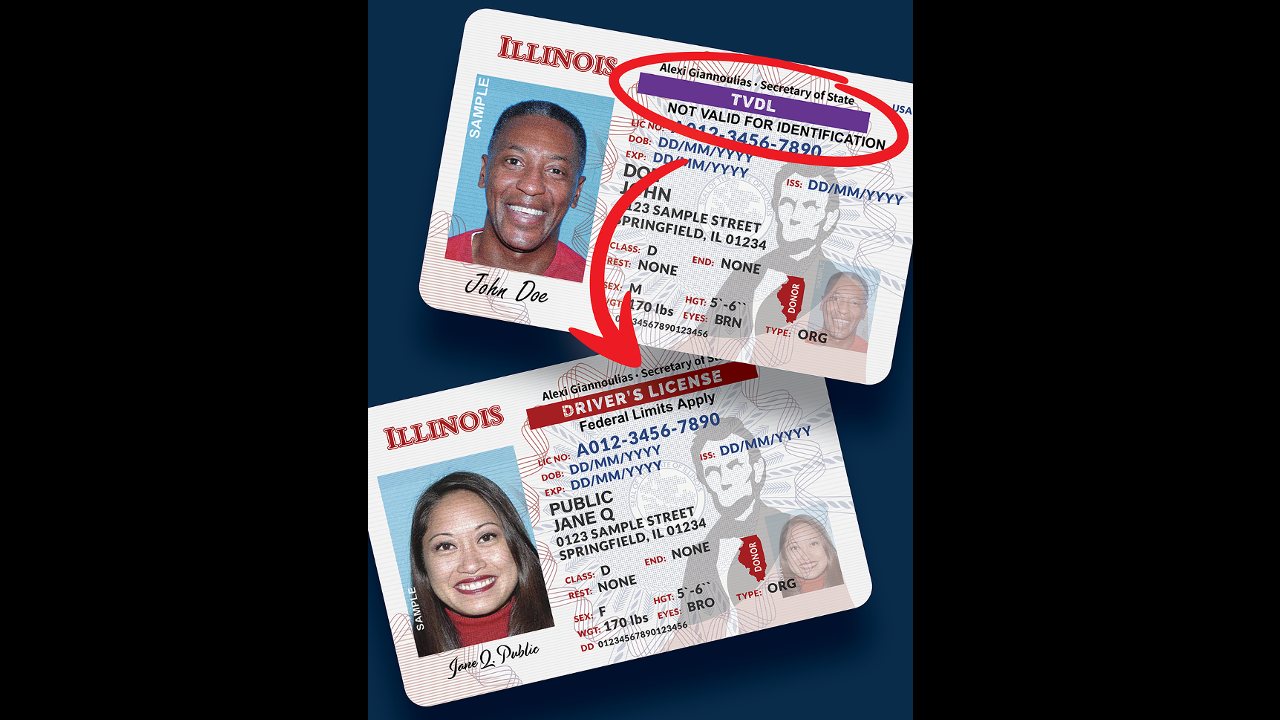 Legalese — Electronic Driver's Licenses – Your Local News