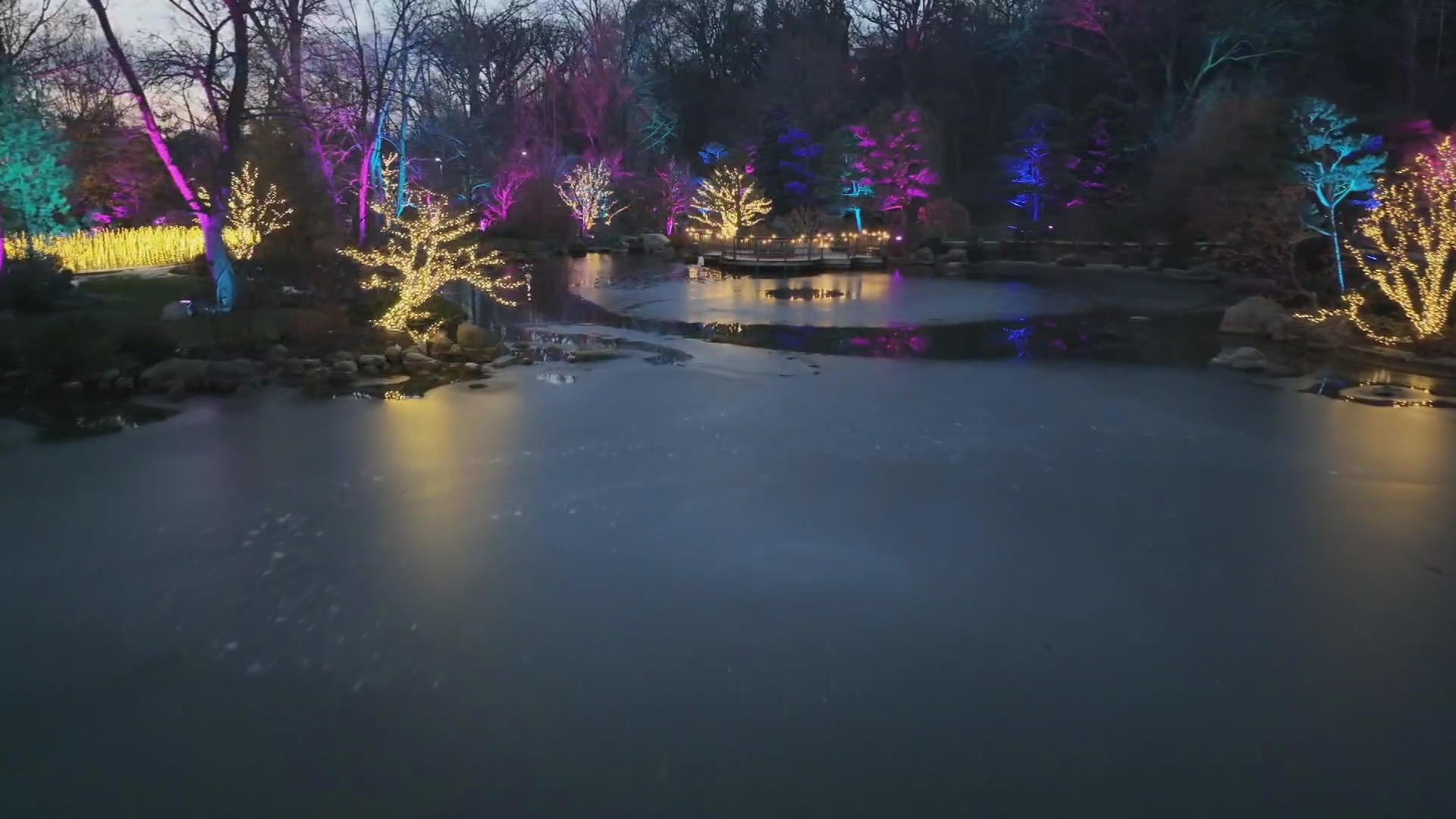 スード・エコー　Autumnal Park Live Kansai Culture: Umekoji Park Lightup