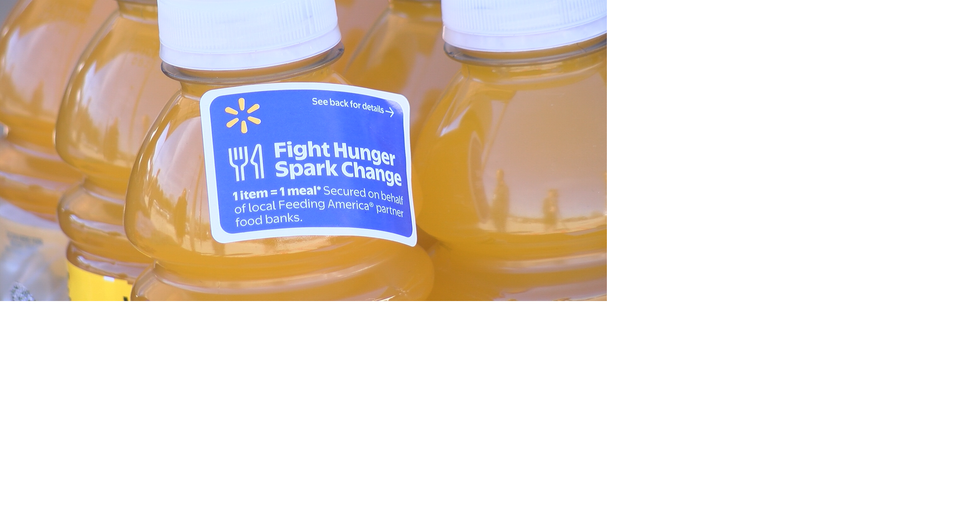 Northern Illinois Food Bank kicks off 13th annual Fight Hunger. Spark Change campaign