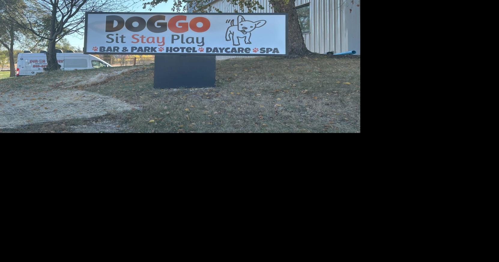 DOGGO Sit Stay Play to host first dog costume competition | News | wrex.com