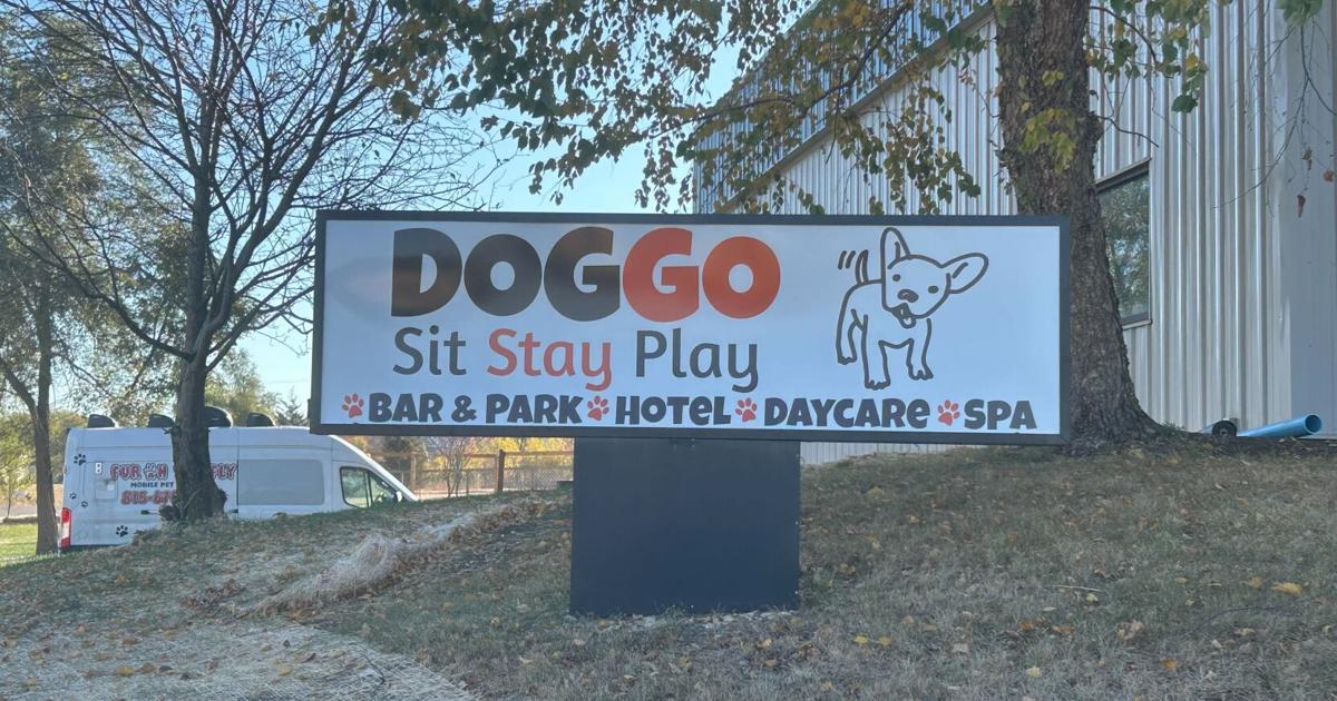 DOGGO Sit Stay Play to host first dog costume competition | News | wrex.com
