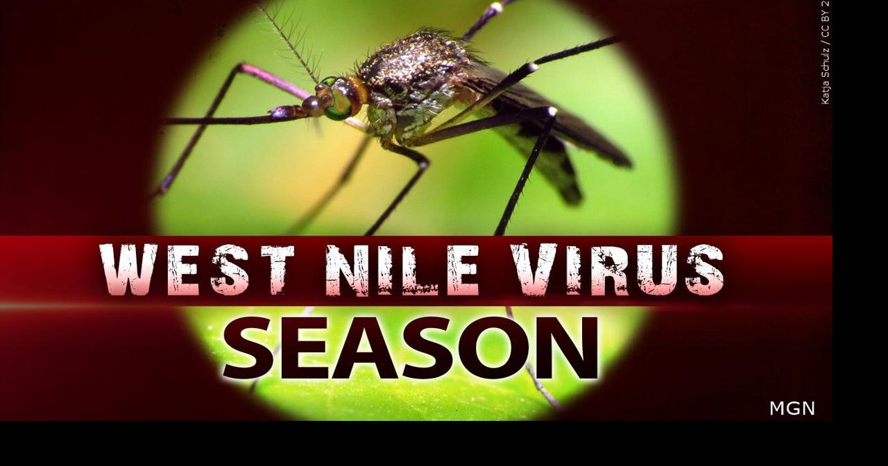 Breaking down past West Nile virus cases in Illinois and prevention efforts to stay safe