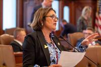 State Sen. Sally Turner, R-Beason, on the Senate floor