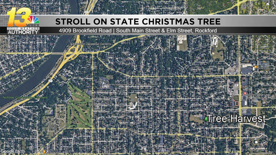 Rockford's Stroll on State Christmas Tree installed downtown News