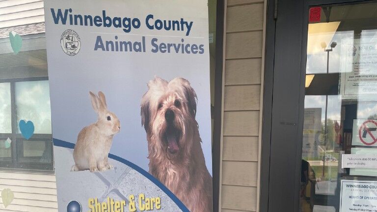 Winnebago County Animal Service is introducing a new website and services  to animal lovers | News 