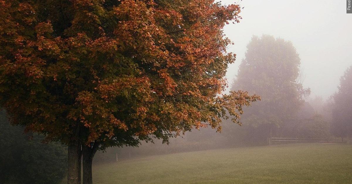 How clouds affect overnight temperatures and morning fog