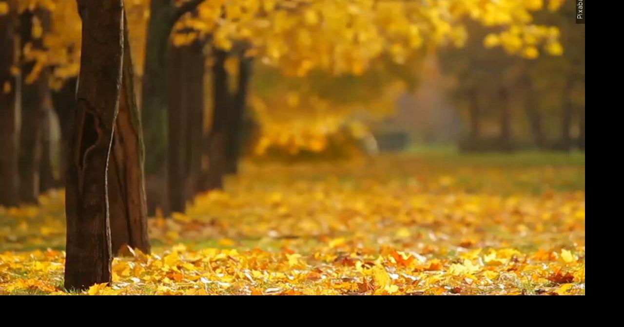 Here's why autumn air feels so much windier than summer