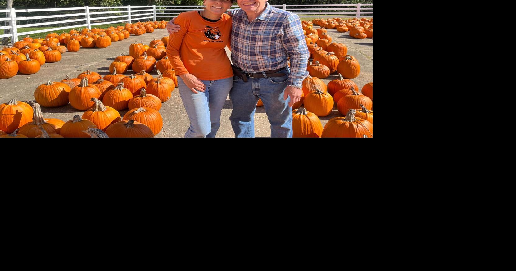 Thyme and Again Farm in Byron harvests thousands of Pumpkins News