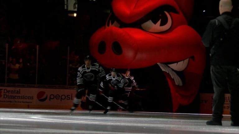 Rockford IceHogs  ICEHOGS ANNOUNCE 2019-20 SCHEDULE