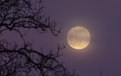 April’s full pink moon will look smaller than usual — here’s why