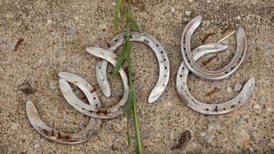 Churchill Downs: After four horses die, home of Kentucky Derby calls circumstances 'unacceptable' and 'troubling'