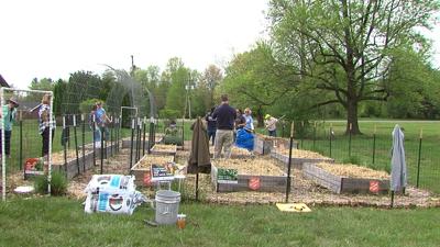 Cultivating Care garden