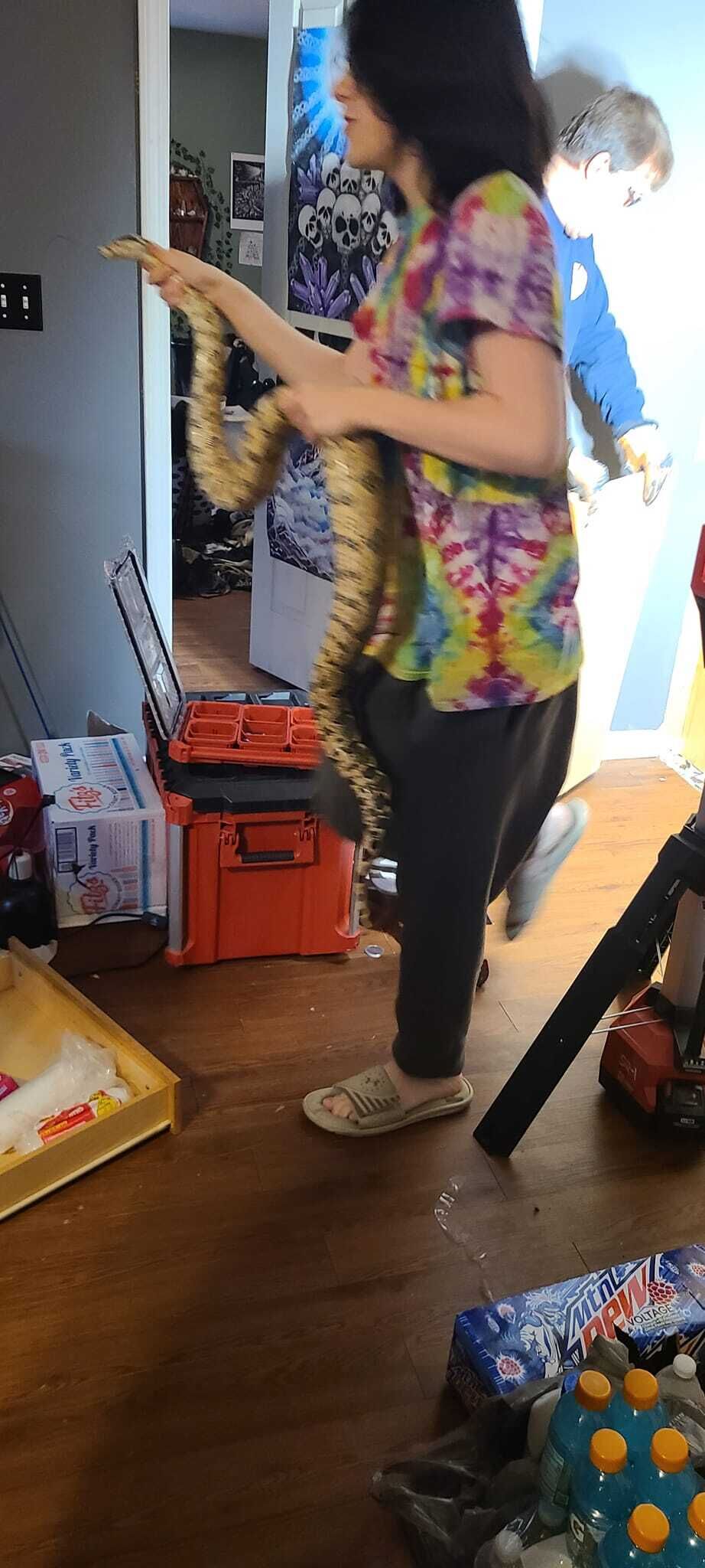 Southern Illinois firefighters help rescue 6 foot boa constrictor stuck