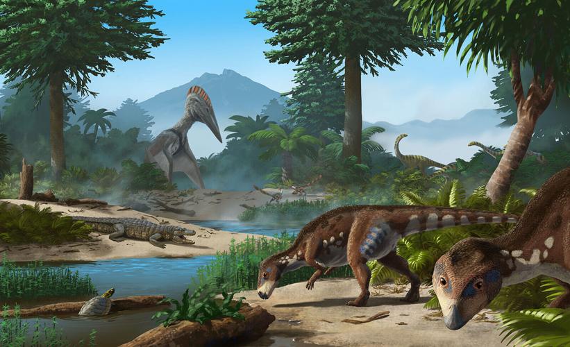Newly identified dinosaur that lived on island of dwarfed creatures had an  unusual head, News 3 This Morning