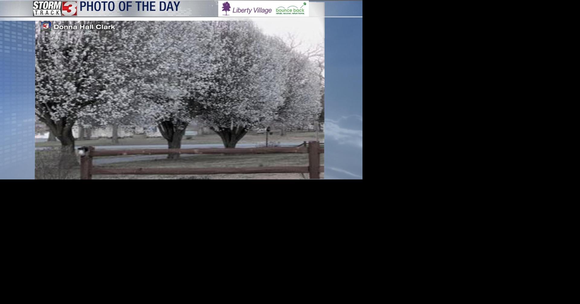 Photo of the Day March 9, 2023 Photo of the Day