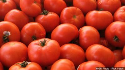 tomatoes