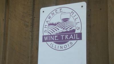 Wine Trail