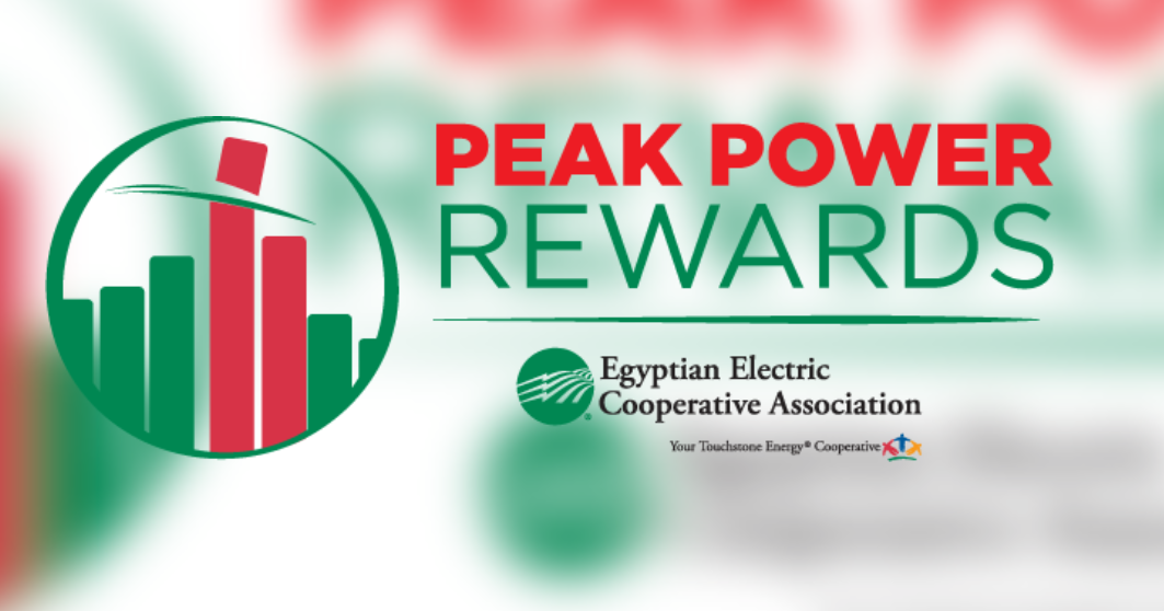 Egyptian Electric Cooperative Association to allow members to earn bill credits with rewards