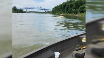 firefighter river rescue