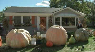 Wheaton man carves place in history books, grows biggest pumpkin in Illinois