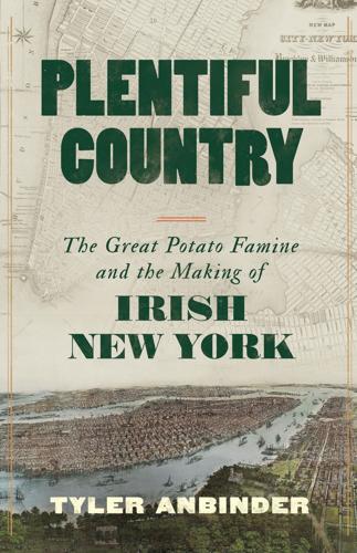 How a surprising detail in bank records helped a historian bust a longstanding myth about Irish immigrants
