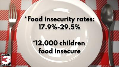 Food insecurity in southern Illinois