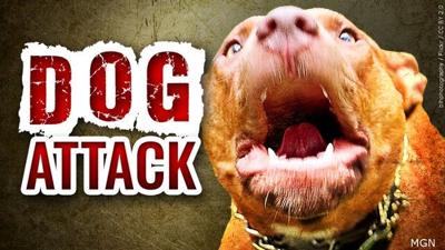 Dog attack