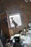 A deer walks into a beauty shop...part 2