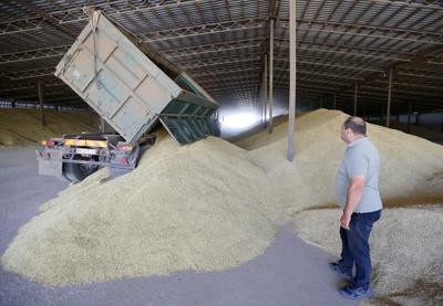 US launches initiative to support Ukrainian farmers hit by Russia's war