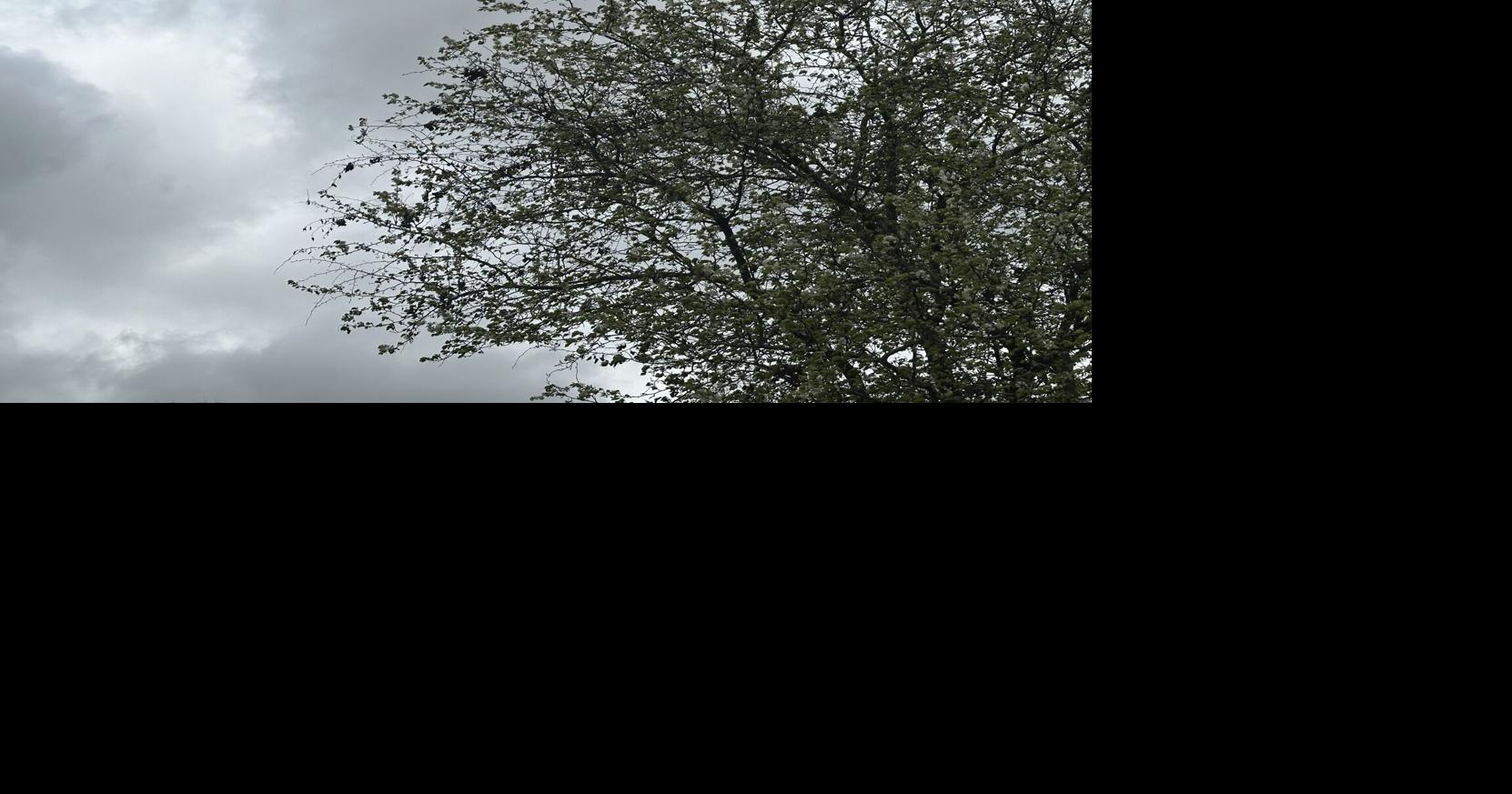 High Wind Warning Issued for Parts of Southeast Missouri and Southern Illinois