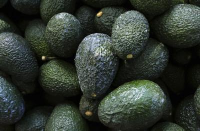 US lifts ban on Mexican avocados
