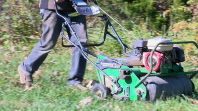 Winter Lawn Care Web Pic
