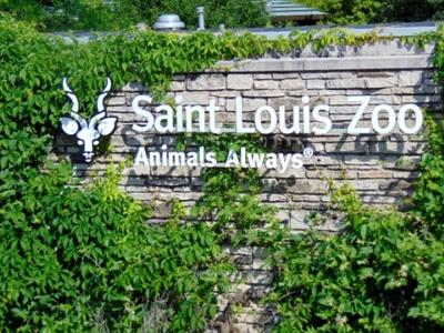 STL Zoo