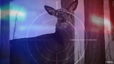 crime hunting, deer, poaching