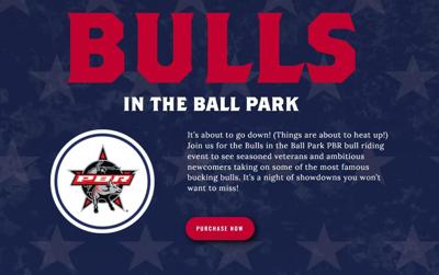 Bulls in the Ball Park