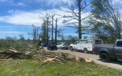 Crews set to help with tree removal following Friday's EF-4 tornado
