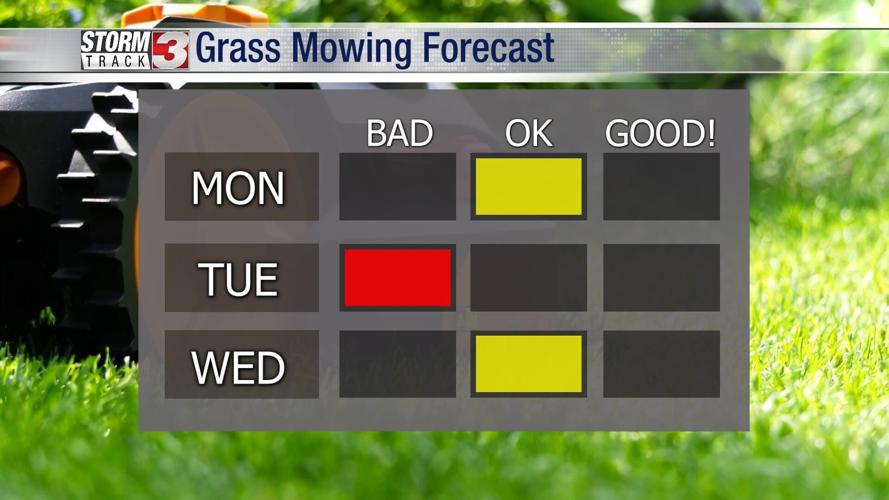 5_2 grass.jpg