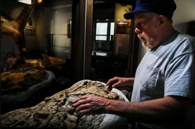 No bones about it: Fossil hunters unearth what Missouri dinosaur really looked like