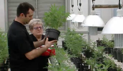 Hemp Cannabis symposium