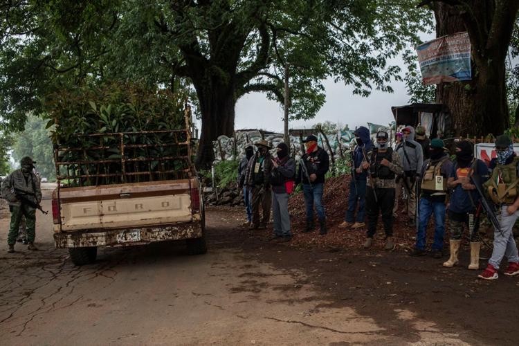 As cartels take a stake in ‘green gold,’ US and Mexico rethink how avocados reach American kitchens