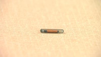 microchip