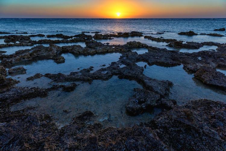 Australia’s Great Barrier Reef hit once more by mass coral bleaching